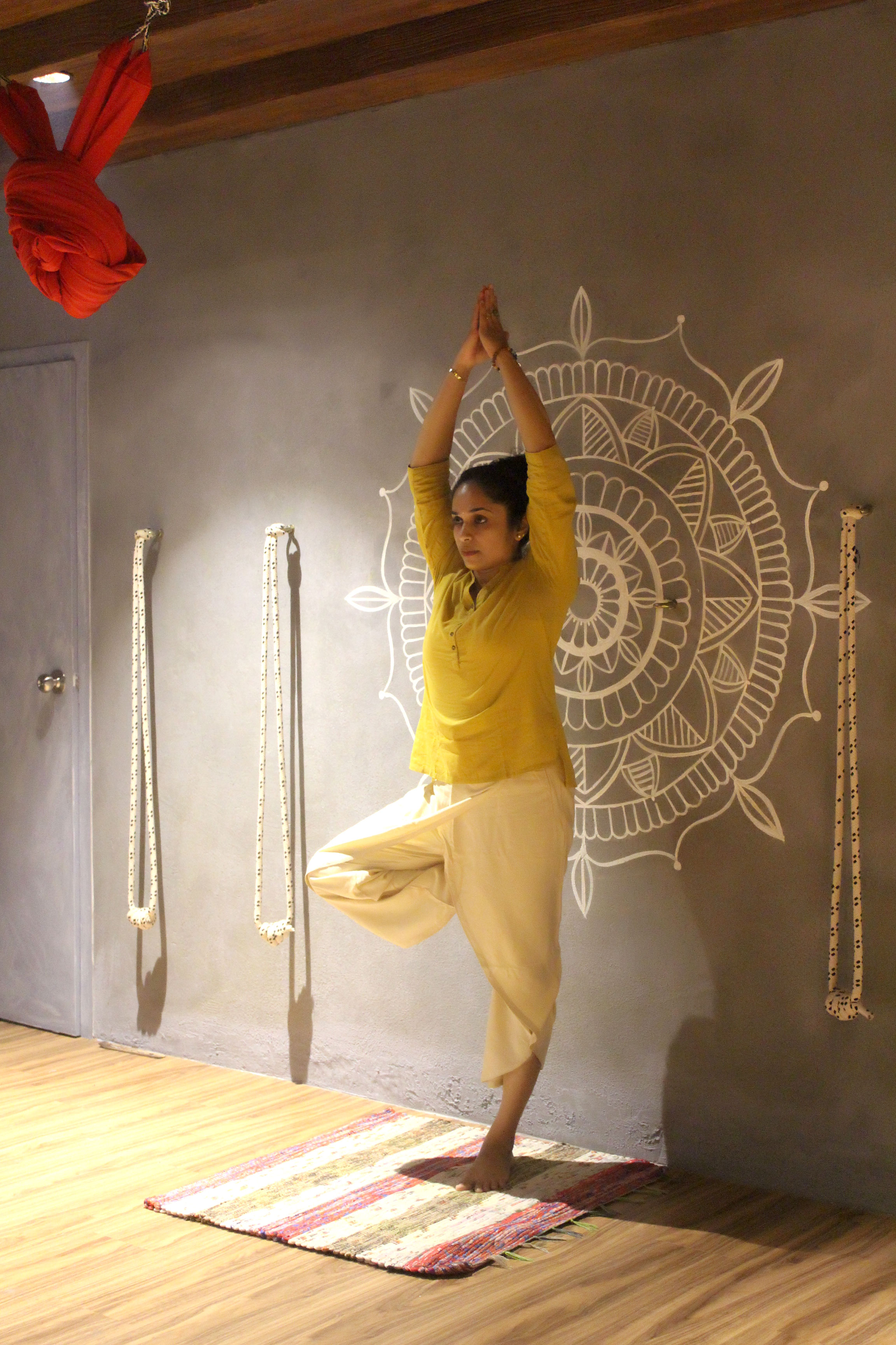 Steady strength video bundle thumbnail